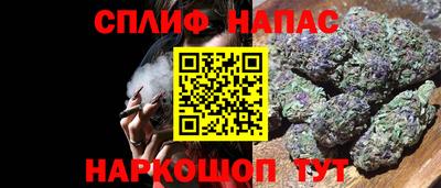 крисы Ипатово