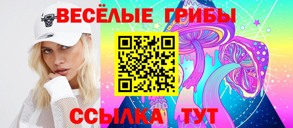 наркотики  Вход с VPN  Лыткарино  Галлюциногенные грибы MAGIC MUSHROOMS 